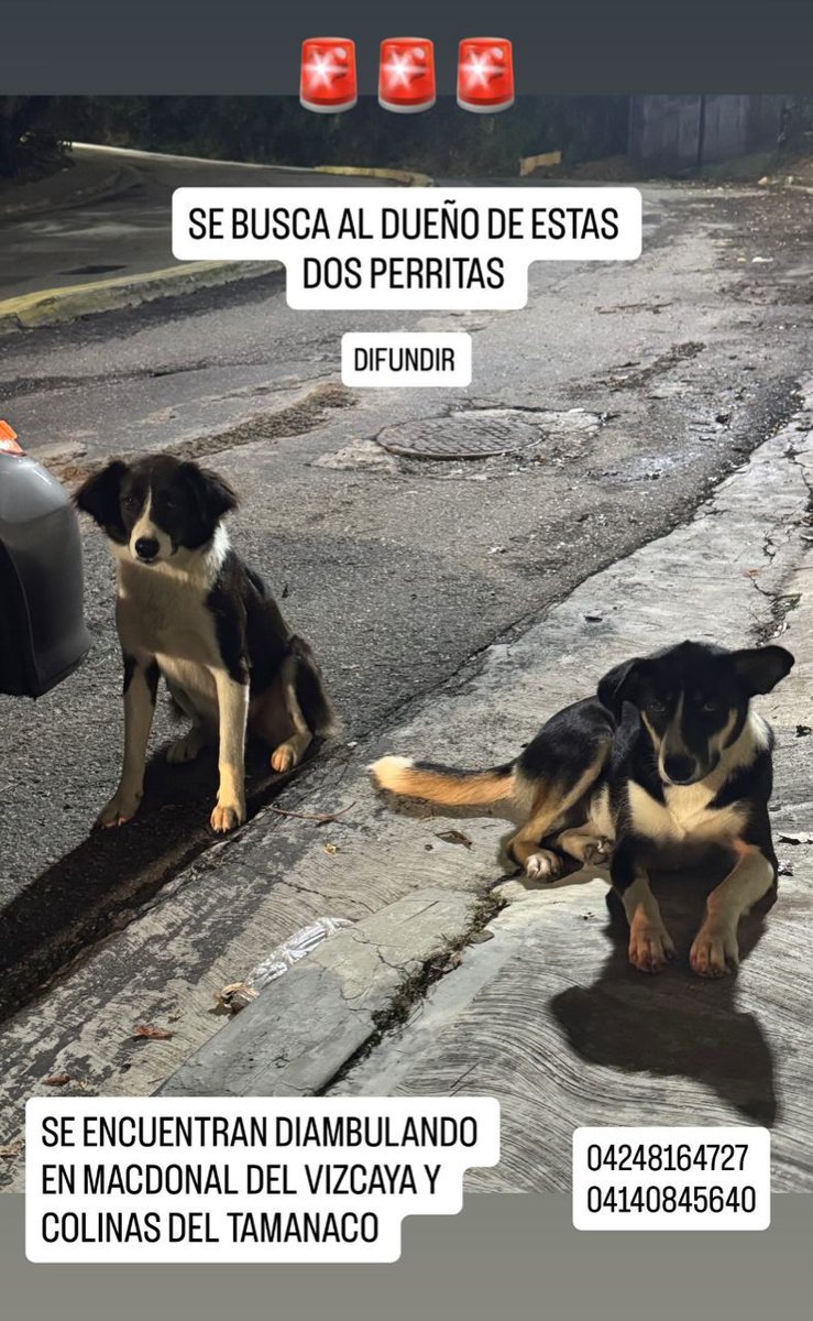 yaracalcagno's tweet image. Atención se busca a su familia. Por favor ayuden a difundir