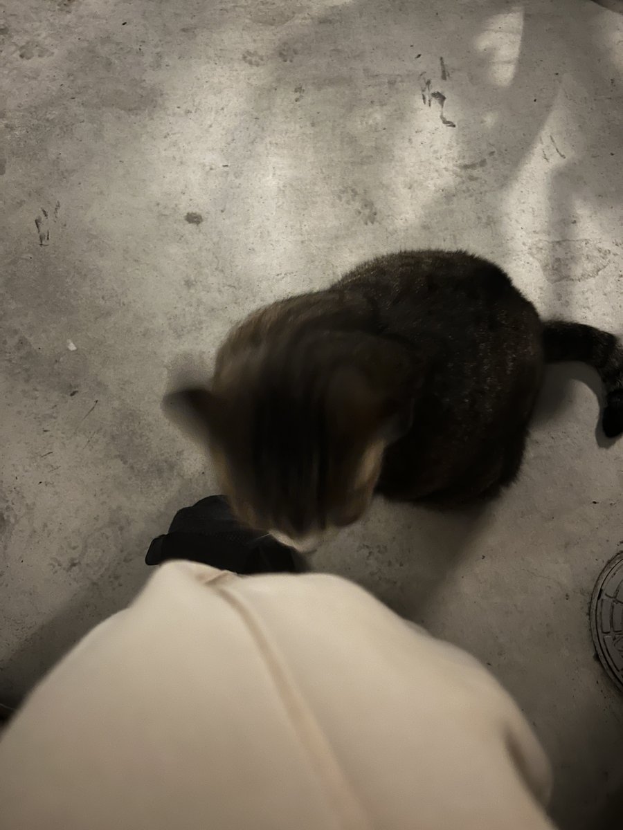 xetherrr's tweet image. かわいいね