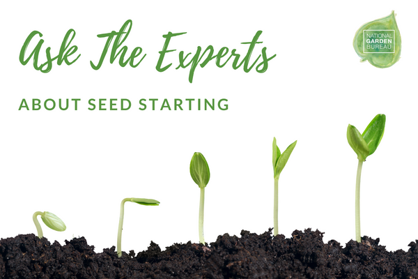 Don't Miss This Week - Free Meetup with Garden Book Authors! - mailchi.mp/ngb.org/ngbfal…