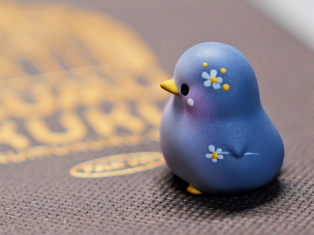 Puko.Lavender🌸
Bigshow Ⅱ🌸

#kumukuku 
#쿠무쿠쿠 
#クムクク

#エデンアイ

#nano服