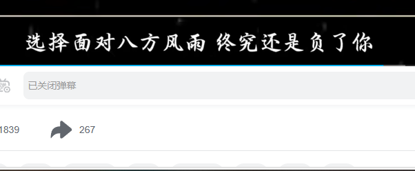 选择面对八方风雨 终究还是负了你
