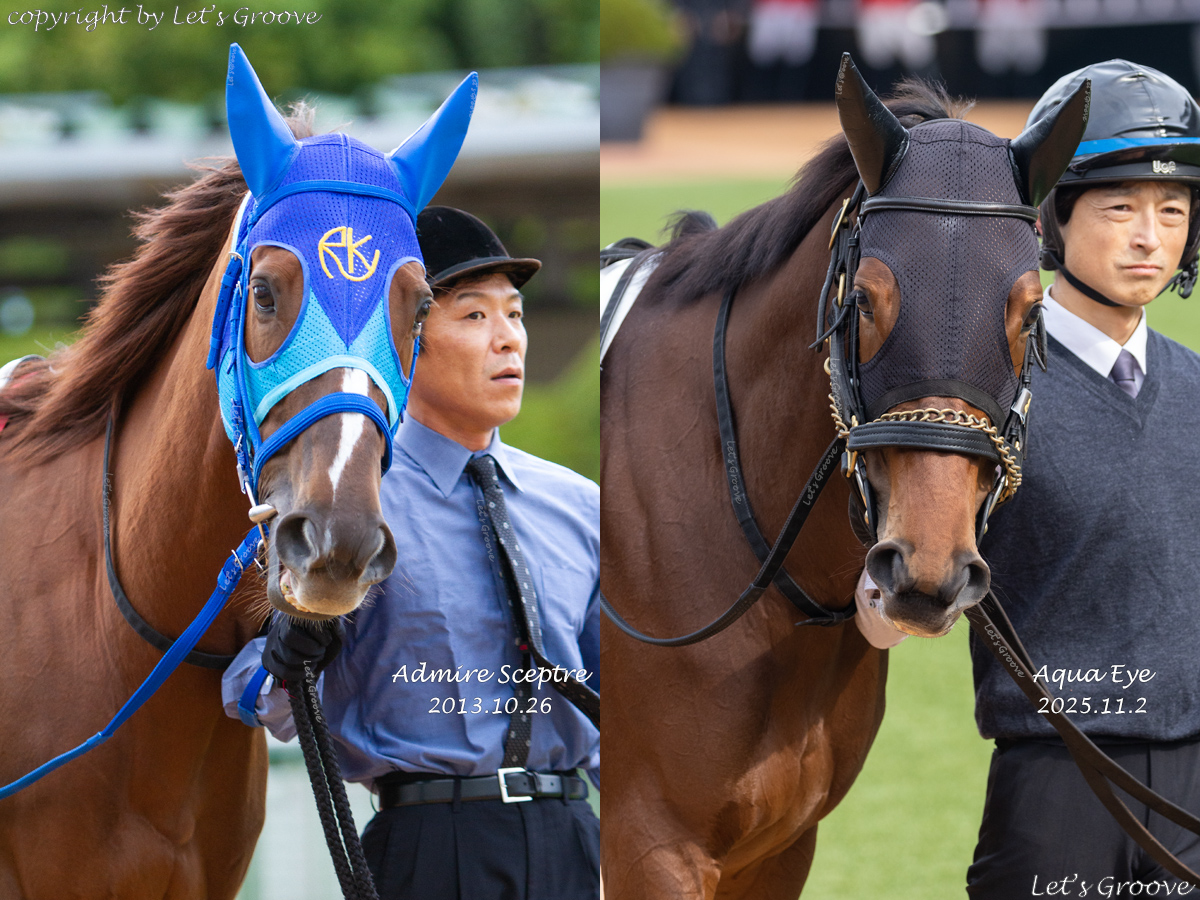 トレーナー H2 ふしぎな島のフローネ トレーナー H2 ふしぎな島の