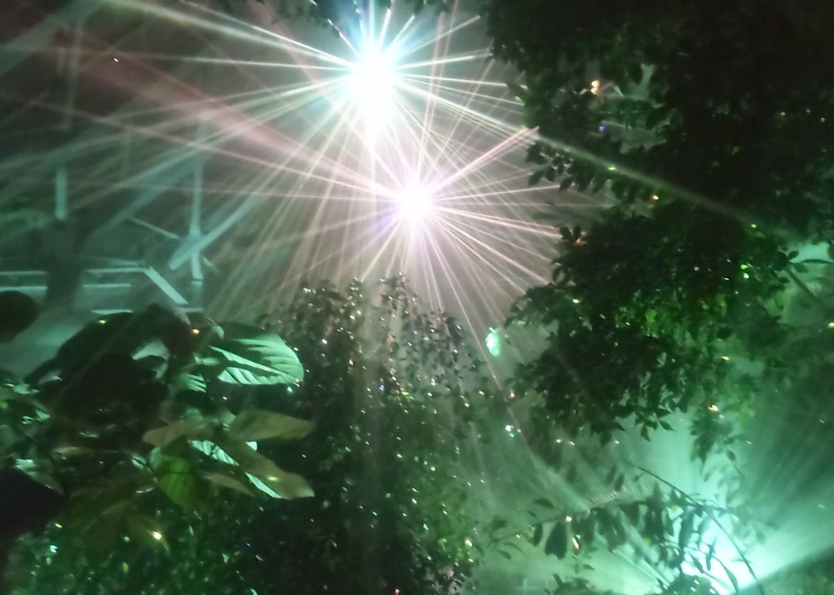 P (@YuYuyun3232) / Posts / X P (@YuYuyun3232) / Posts / X