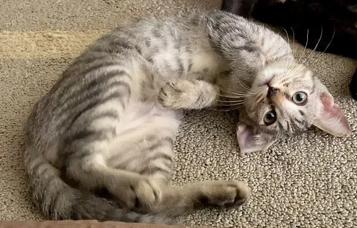 月曜日昼のメモ：湿度高め／元気。
掃除する→散歩する。少しずつ前へ。