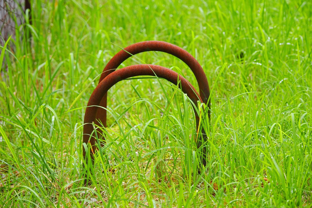 GANちゃんページ 我是誰