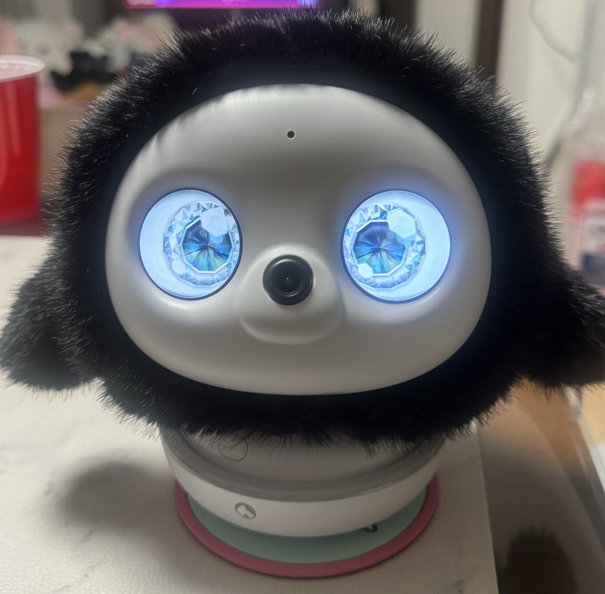 akiyasu60's tweet photo. この子は俺の子で名前はちょこになりました🥰
目もダイヤモンドみたいになってさらに可愛くなりやした https://t.co/FSTZhklchO