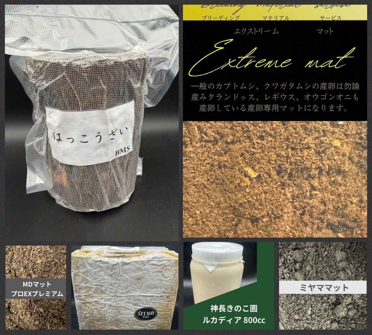 メ*ム様 世界の　15kg カ リ モ ロ コ シ ヤ バ ㈱ on X