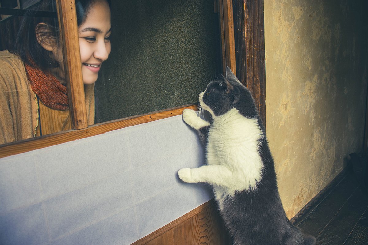 ryuukiweb's tweet image. うまく使えなかった はじめての生成AI