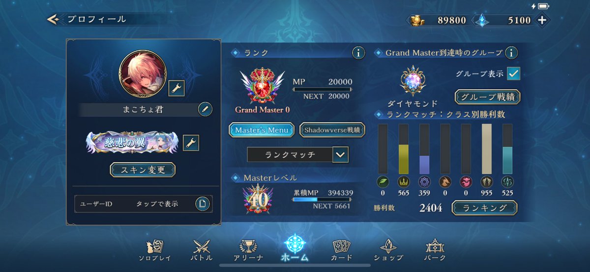 この俺がグランドマスターのまこちょ様だ