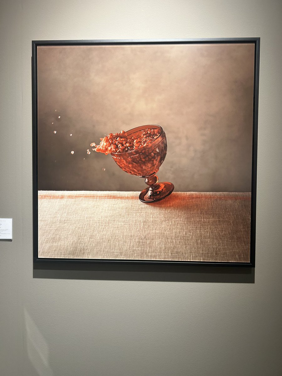 Studio Marie Cecile Thijs tweet media