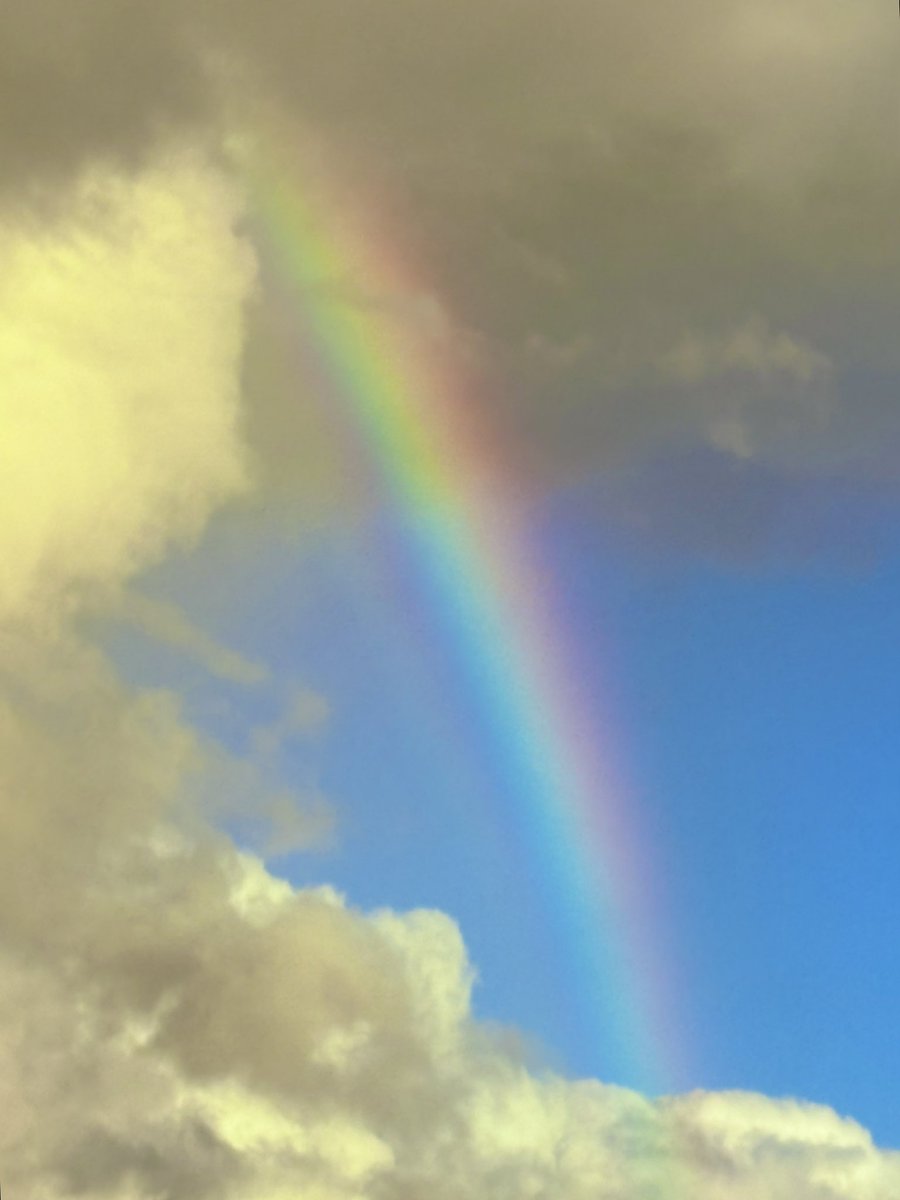 帰りの空港に向かう途中…虹🌈✨