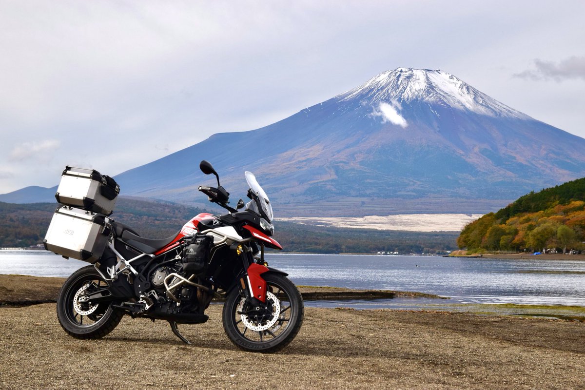 【いきなりのご購入はお控えください】Forest306『星屑の還る場所』 おーうえ⚡️ on X