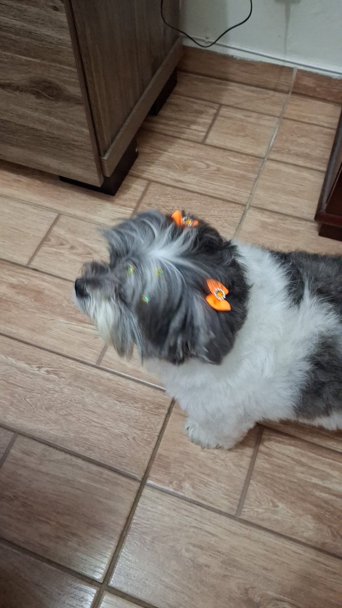 Ela é o meu amor! Te amo Nina 🥰