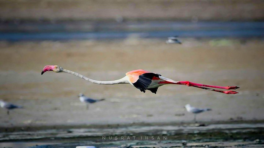 fragmentiert's tweet image. #Spontan*e #Idee:

„Ich freue mich, „SIE“ zu sehen !“ 

(fem. @ masc.)

Ich praktiziere es schon sehr lange …