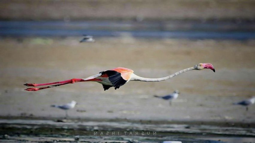 fragmentiert's tweet image. #Spontan*e #Idee:

„Ich freue mich, „SIE“ zu sehen !“ 

(fem. @ masc.)

Ich praktiziere es schon sehr lange …