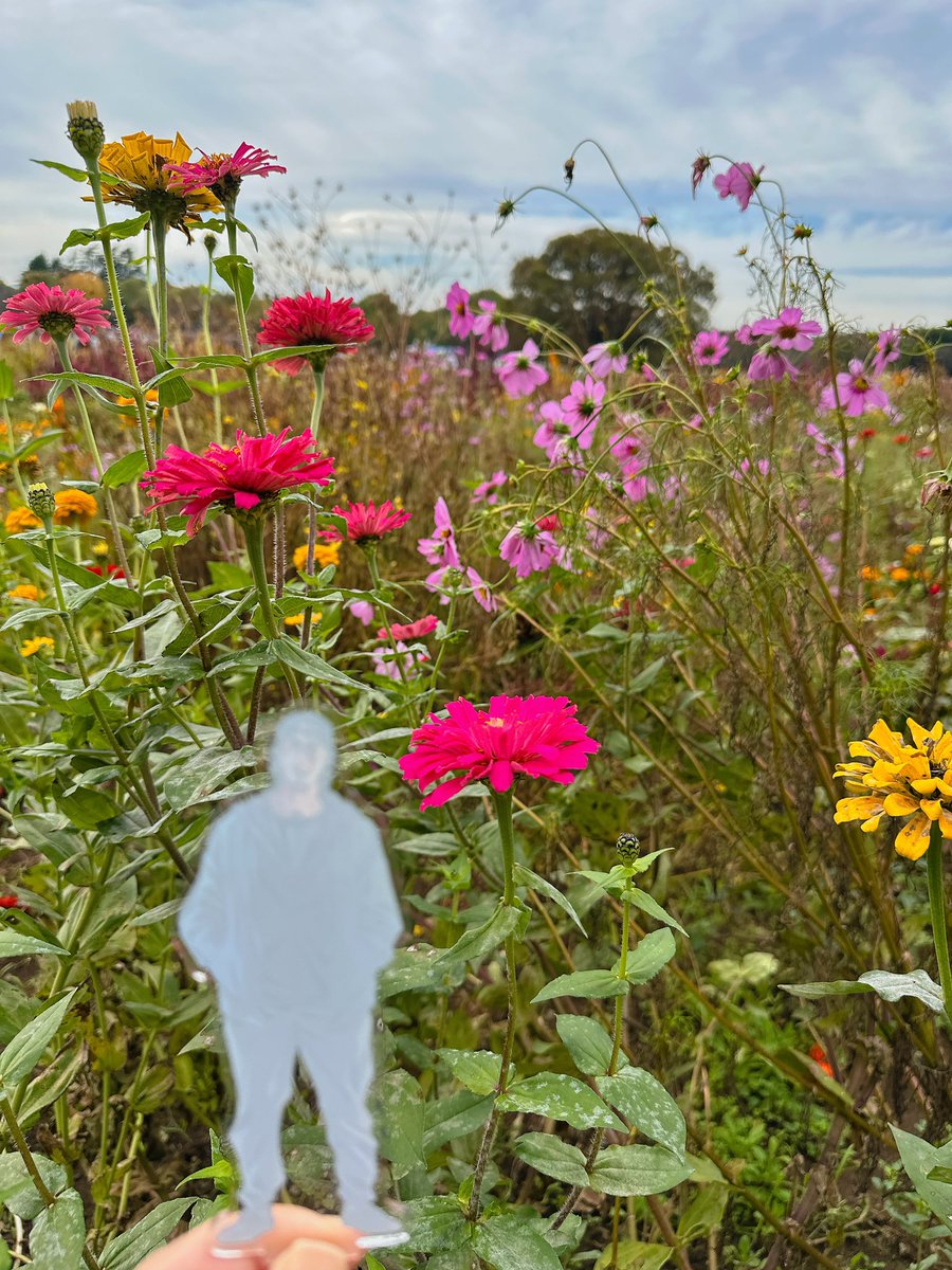 築乃11/16東4セ57a on X