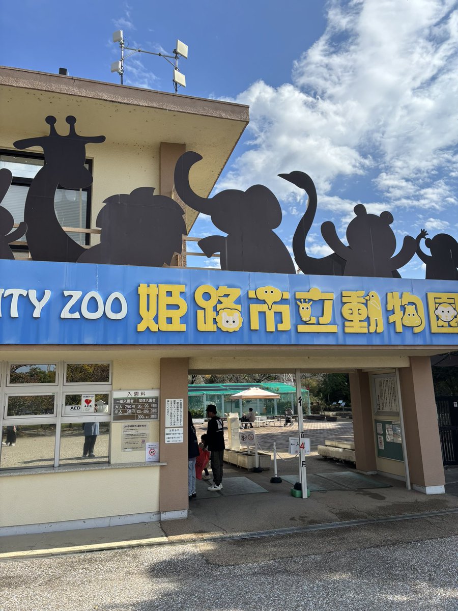 LE stページ　天王山1個、小倉山2個、さみどり2個 サインピラミッド 867－758GW 灰色 身障者 ゴムウェイト付