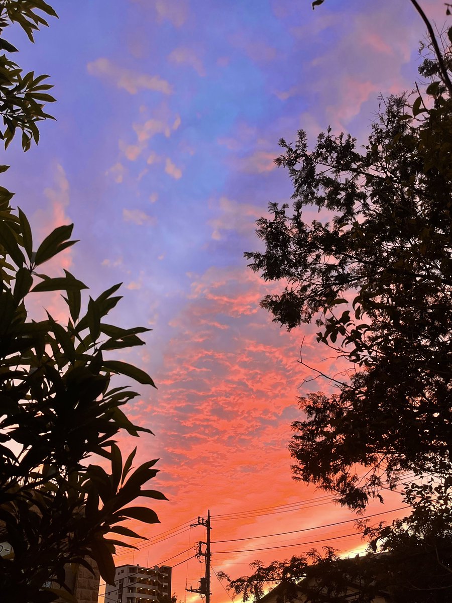 きょうの夕焼け、綺麗でしたよね
