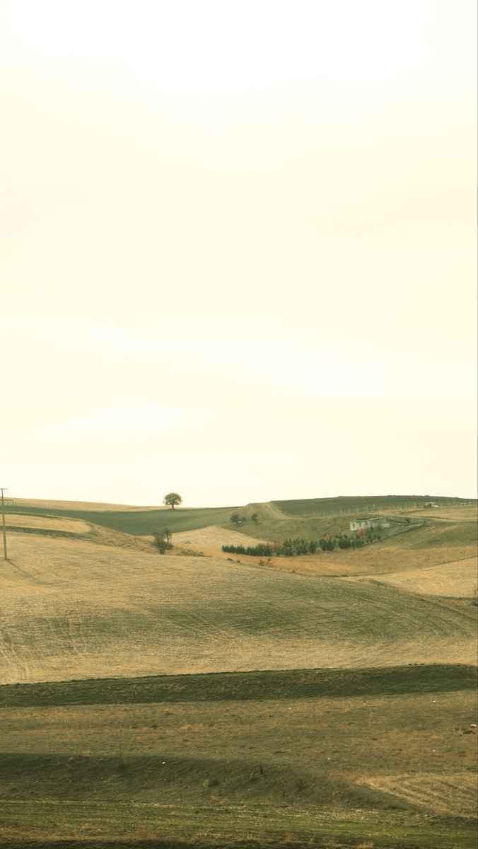 rahimegl_'s tweet photo. Hoşçakal bozkır 🌾 https://t.co/7ABmt7F81S
