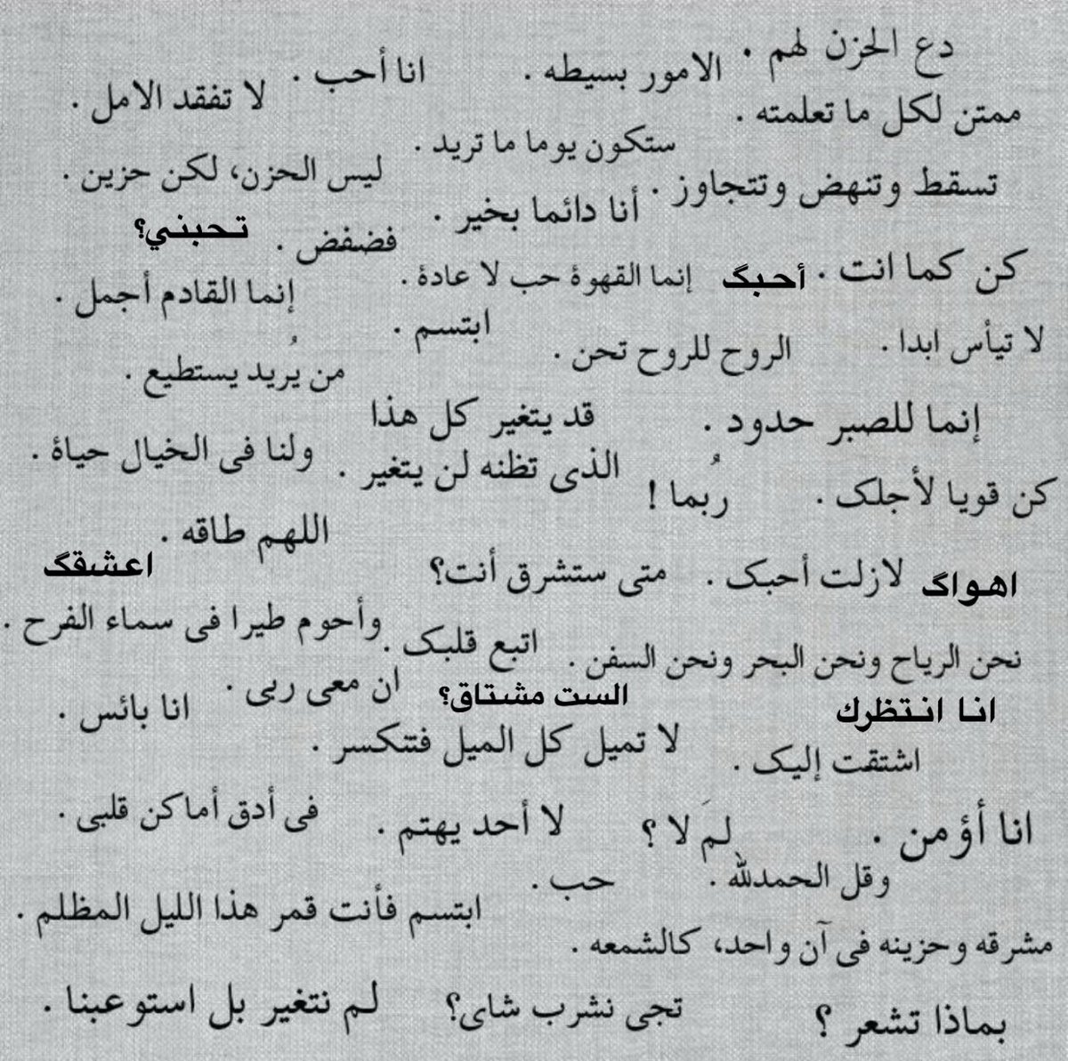 Renad tweet media