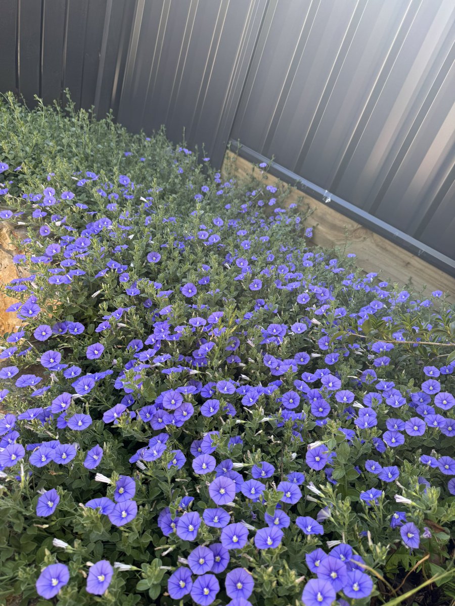 Nature showcasing its natural beauty