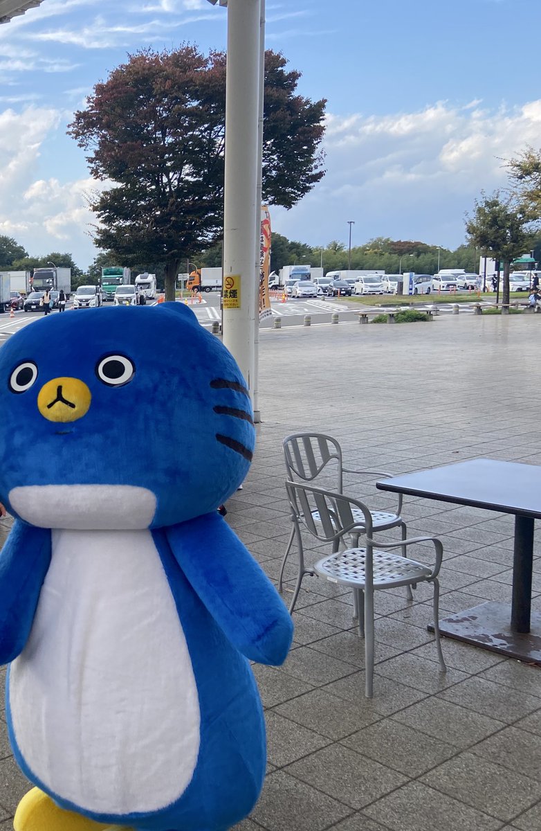 ピーちゃん☆ サイボーグクロちゃん エピソード57 日本語 | Cyborg Kuro Chan