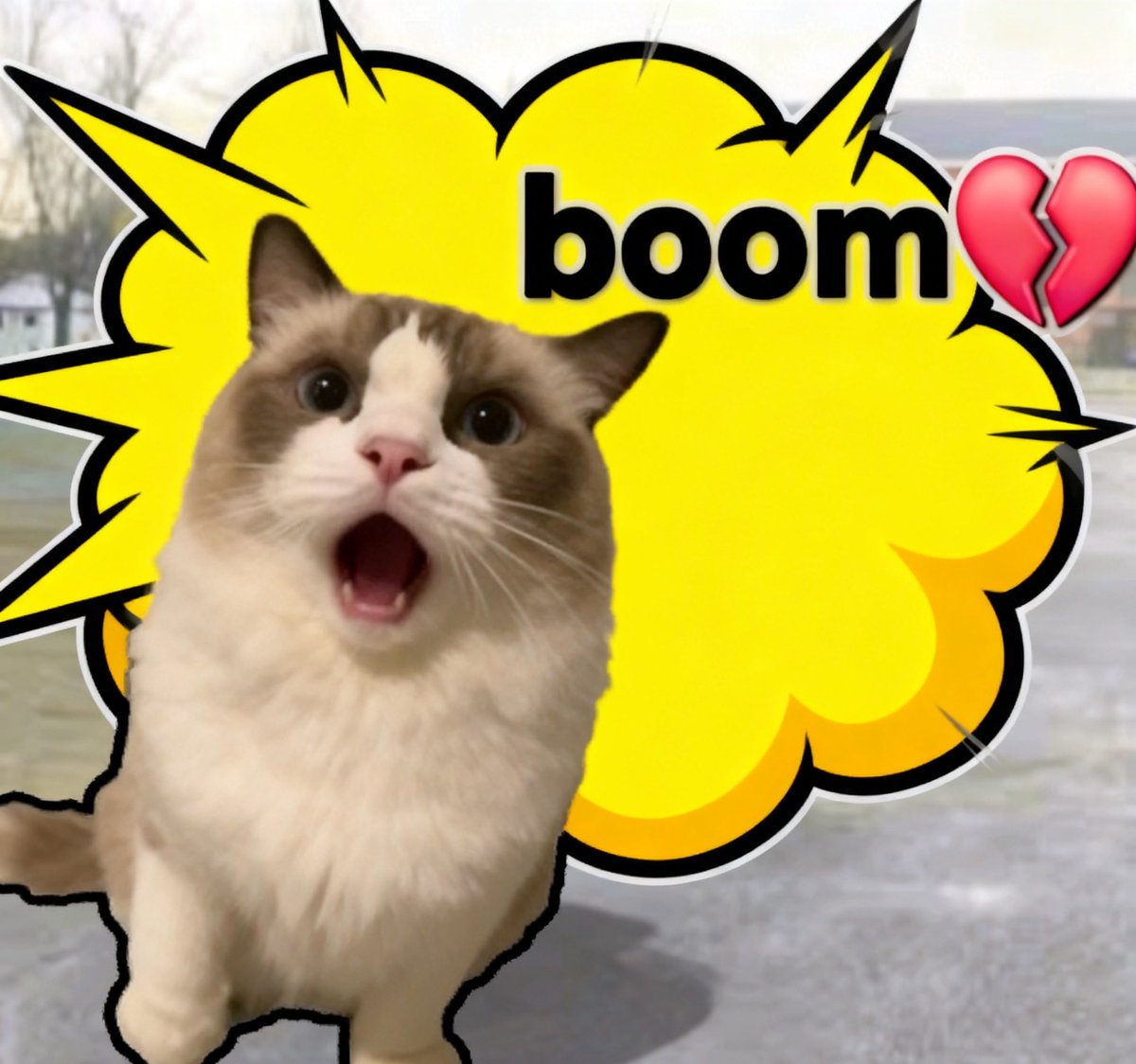 sats_wd's tweet photo. @tvbzify #mrboom https://t.co/S8lFFBpTDl