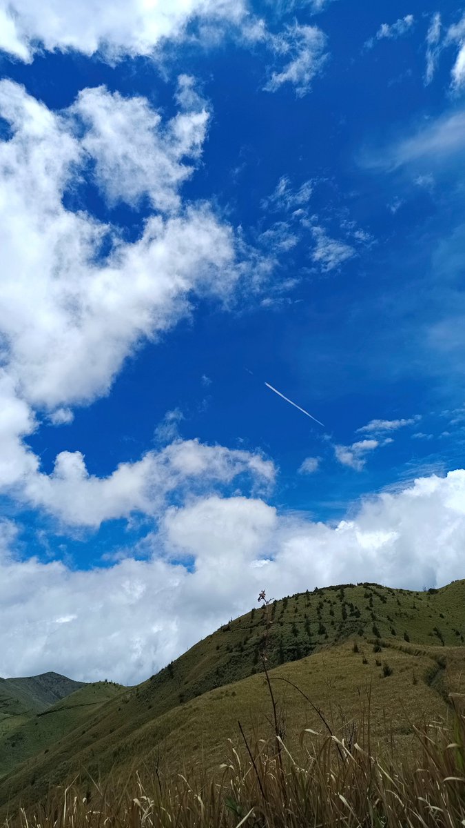 Today I walked 12 km in Bukit Premium, somewhere in East Java. It was my first time hiking and the scenery was wonderful. Being in nature always rejuvinated my mind. 🌳☀