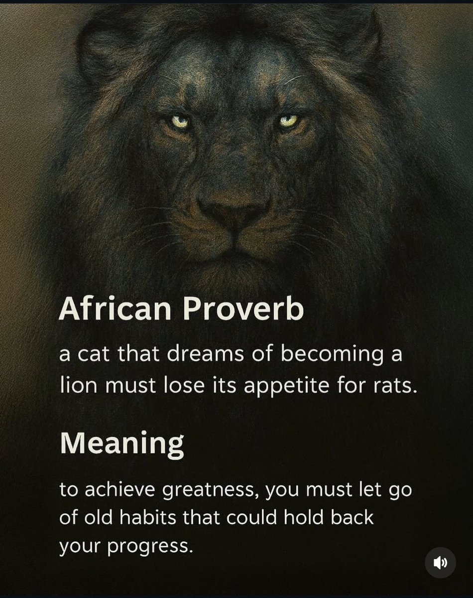 Alex Grapov tweet media