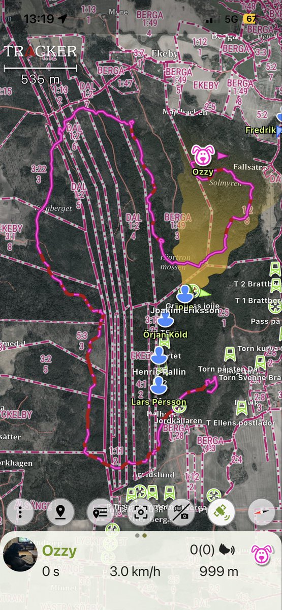 Överallt förutom på rätt mark🤣🐗🐗🐗