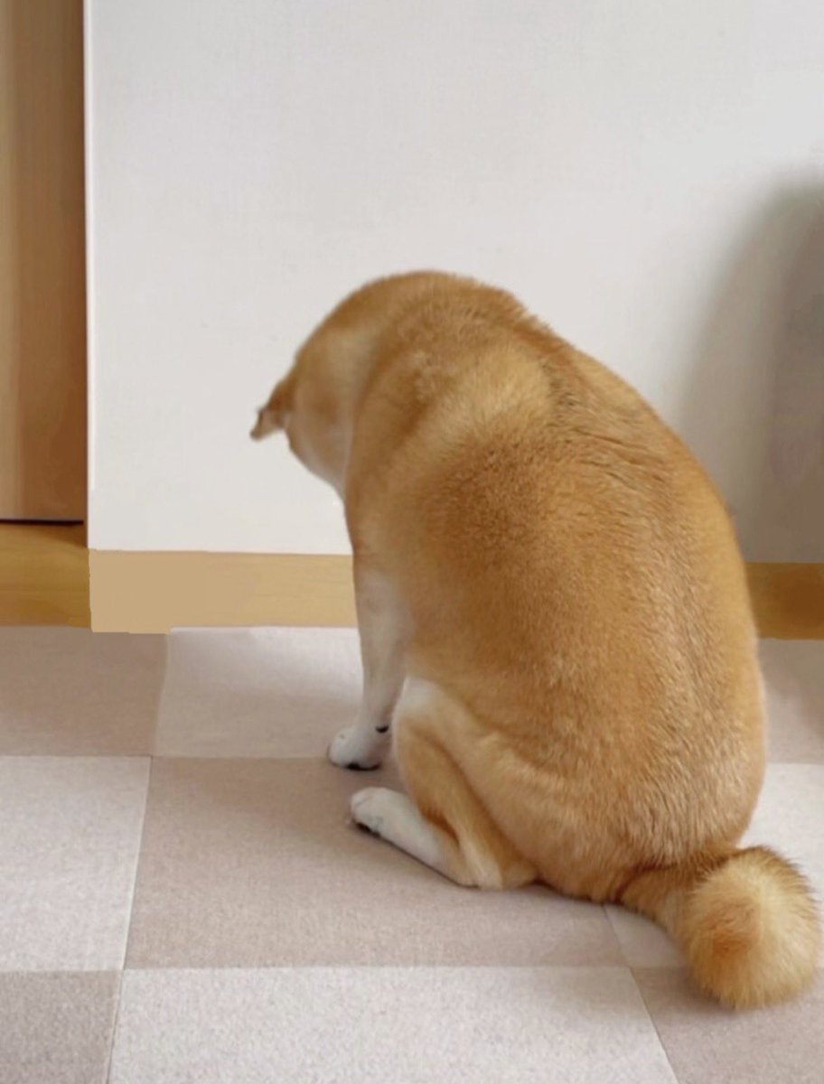 三連休とは無縁な人間、今これ