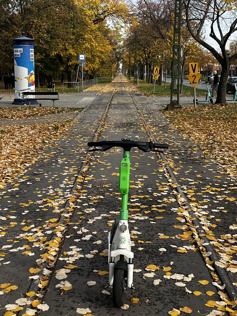 martonszives's tweet photo. Dream big. Like this scooter. Maybe some day it will turn yellow …
#Motivation #sunday https://t.co/iY5QRYvkcX