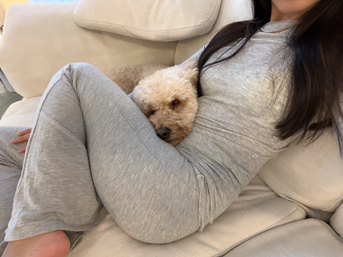 Evelyn Ha tweet media