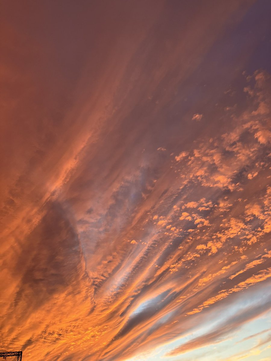 きぬちゃん⛸️🌸⛰️💙 on X