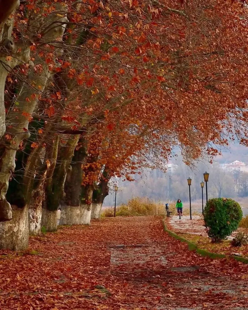 Καλημέρα! Καλή Κυριακή!! 
Καστοριά! 🇬🇷🩵🇬🇷