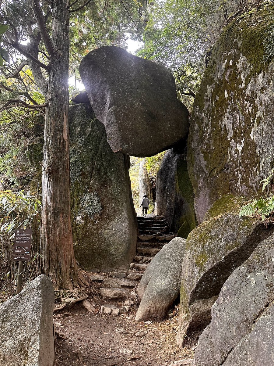 r_i_r_i_k_a_20's tweet image. 筑波山に登りました。⛰️
名物の「つくばうどん」が美味しかったです。
磐梯山のときよりは息切れしすぎずに登れた気がします。
登りは御幸ヶ原コース、下りは白雲橋コースです。
次はどこが良いか考えています。