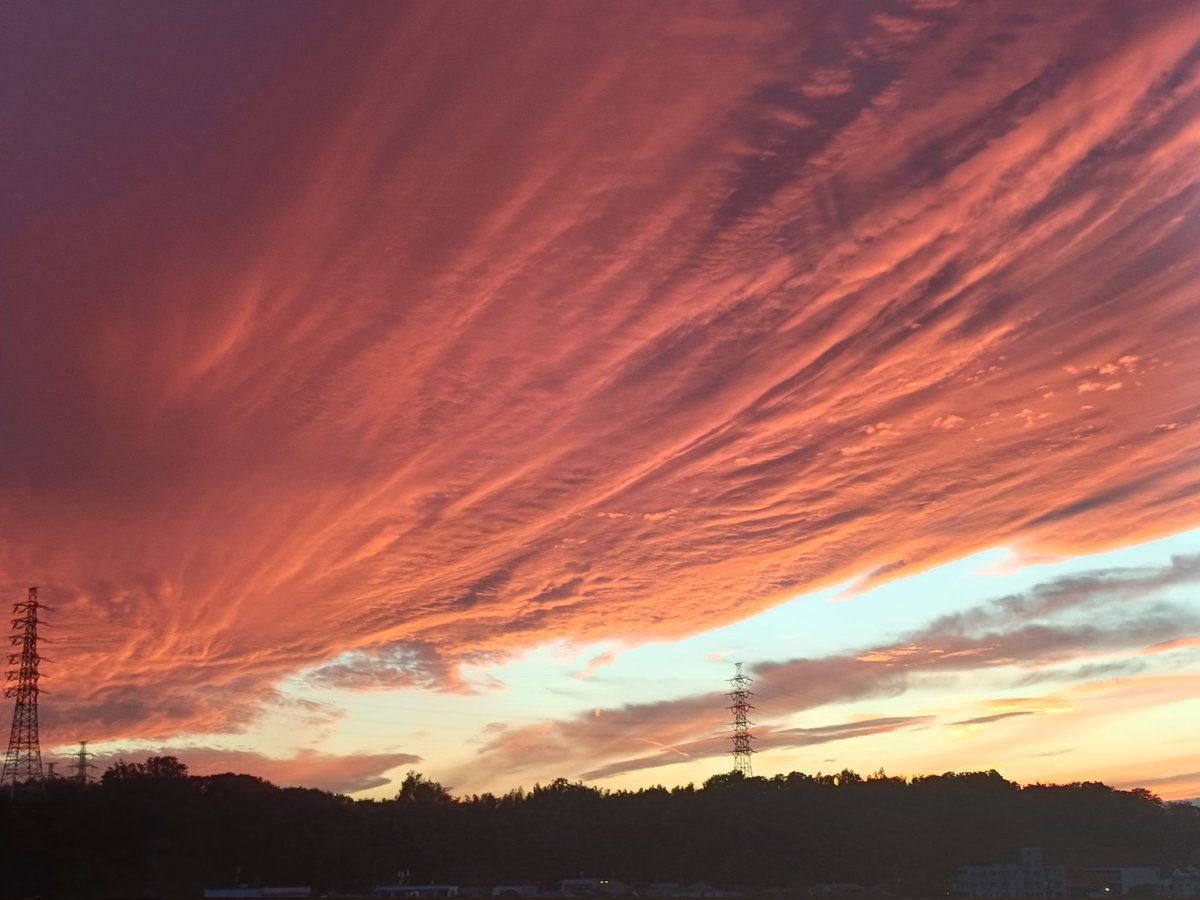 Reona1226 (@reonakitamura) on Twitter photo 