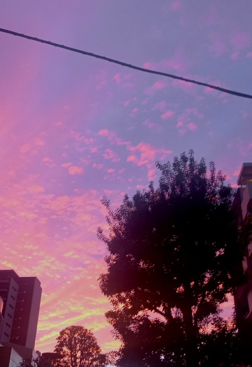 華 ページ 涙華 on X