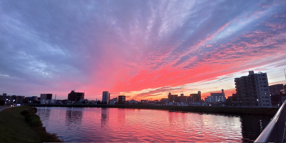 #イマソラ #亀有