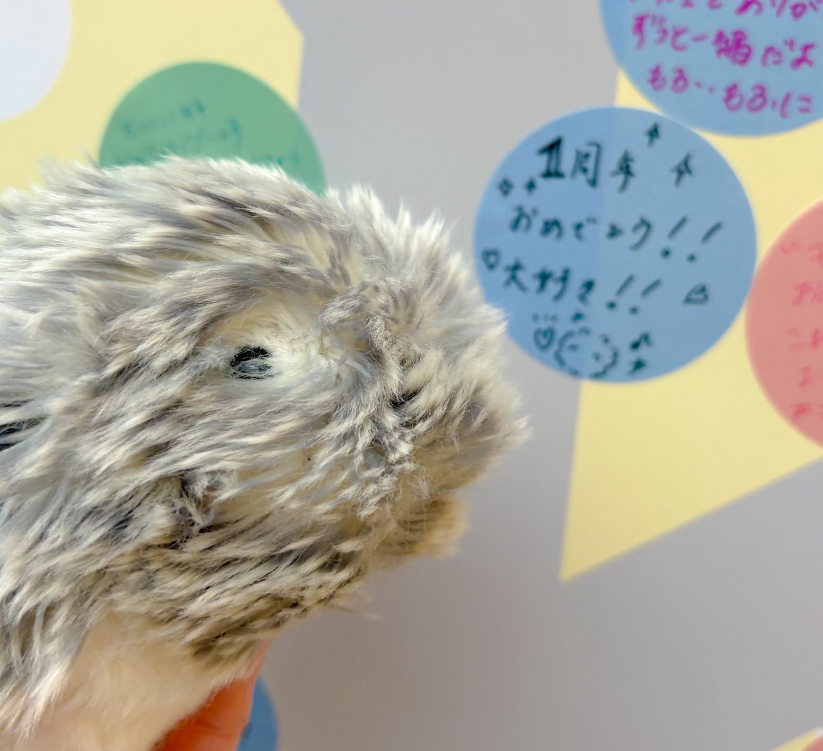 るぃるぃ様ご確認ページ◡̈♡ るぅりぃ (@empty__2410) / Posts / X