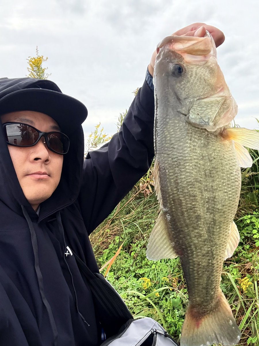 0ss_521's tweet photo. 今日は久々の霞水系釣行❗️
朝一にぶくぶくに太ったナイスバスが釣れました😆
43cm・1600gのデカバス‼️
ヒットルアー:ソウルシャッド58SP(ババタクワカサギレーザー)【ジャッカル】
ソウルフェスに参加できました😆
#ジャッカル　#JACKLL  #ソウルシャッド58SP #ソウルフェス https://t.co/5AzoHxcouH