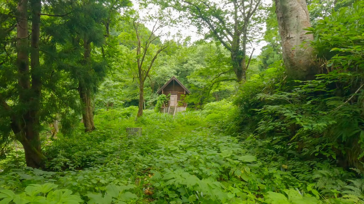 WanderersArchiv's tweet photo. 🇯🇵 Nakanomata, An Abandoned Village in Katsuyama, Fukui 中野俣(廃村) 福井県勝山市北谷 [4K Binaural]

📹️ https://t.co/KA8wNoDzPg via @YouTube

#中野俣 #廃村 #廃村旅 #walkinginjapan #abandoned https://t.co/nSsWtn1DBF