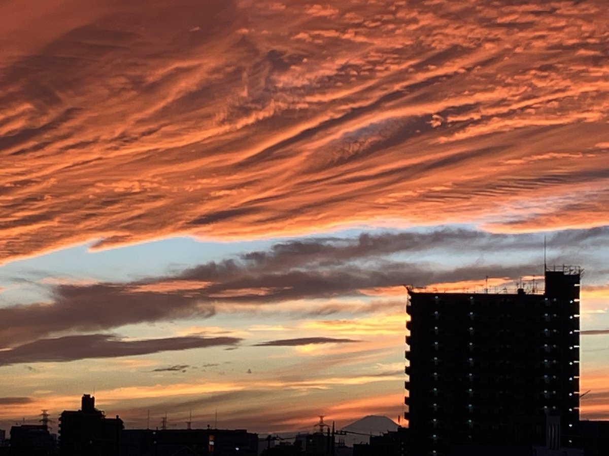 ⭐️ちゃいです 小出 koide HD-10CSP [HAND Series China Splash 10] ｜イケベ