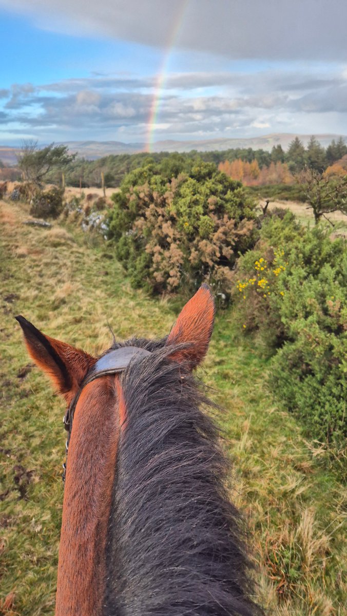 ToltlyEquine's tweet photo. Trail blazing through Dartmoor National Park. We rode past granite tors reaching skywards, silhouetted by the stormy sky, navigated narrow tracks, flowing with freshly fallen rain and cantered along the sodden tracks with the wind blowing an ivy cold deluge in our faces. https://t.co/ImXVtRmcgU