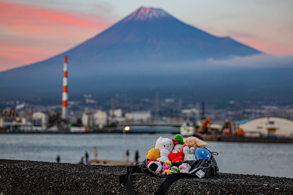 ﾁﾋﾞｰｽﾞ⁉️
そろそろ帰るよ〜🚘️