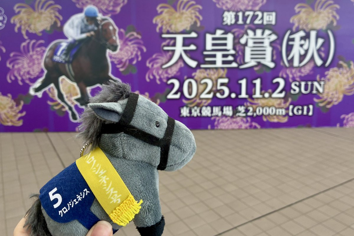 真名瀬 日和(まなせ ひより) on X