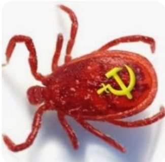 Buona domenica, a chi come me detesta le zecche.