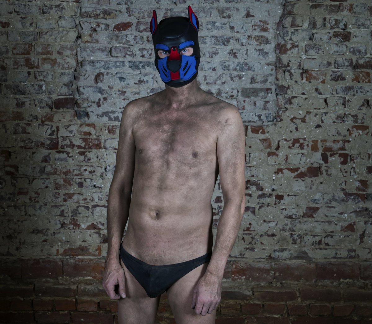 Dark mode
#pupplay #swimsuit