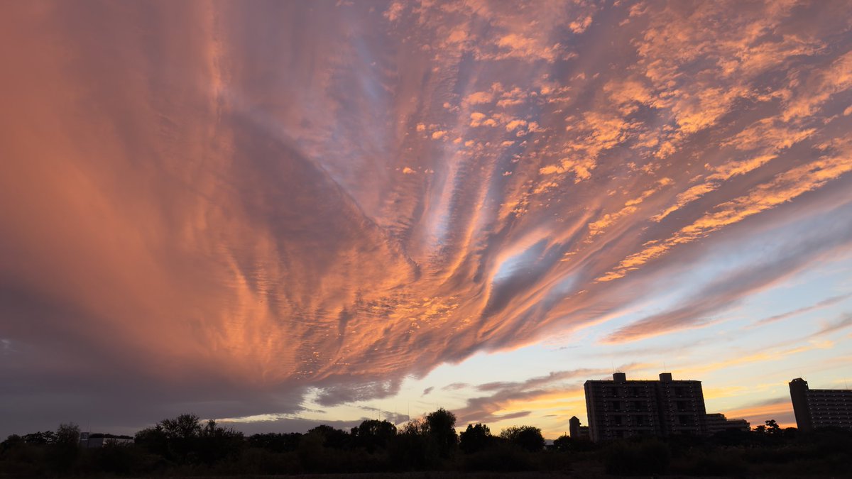 三連休、中日って感じ。清々しいね(ノーフィッシュ)