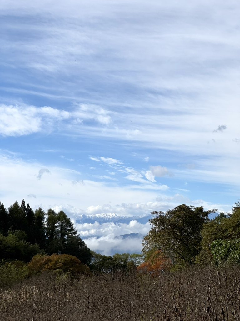 相川七星 tweet media
